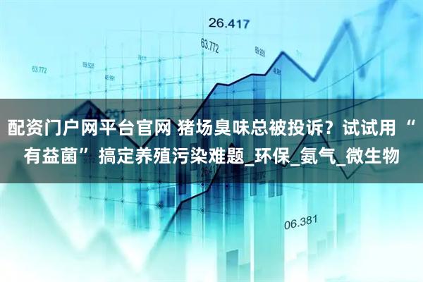 配资门户网平台官网 猪场臭味总被投诉？试试用 “有益菌” 搞定养殖污染难题_环保_氨气_微生物