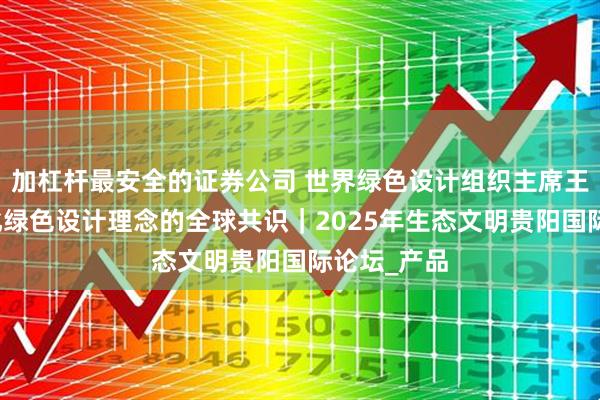 加杠杆最安全的证券公司 世界绿色设计组织主席王金南：强化绿色设计理念的全球共识｜2025年生态文明贵阳国际论坛_产品