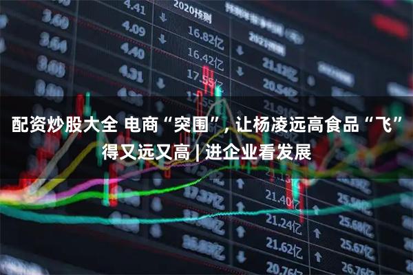配资炒股大全 电商“突围”, 让杨凌远高食品“飞”得又远又高 | 进企业看发展